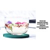 7 Pcs Cactus Coaster Set Cute Funny Green Cactus Coaster