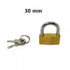 12 Pcs Small Metal Padlock 20mm-30mm Mini Brass Lock With