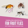 Aunt Fannie’s FlyPunch! Fruit Fly Trap Refill: for Indoor and