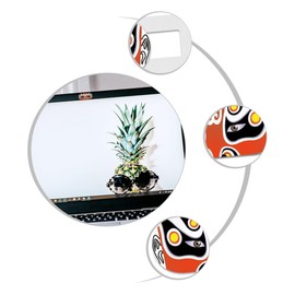 TEHAUX 6Pcs Webcam Privacy Blocker with Beijing Facial Makeup Design Durable Material Easy Application Protects Against Video for Laptops and Computers