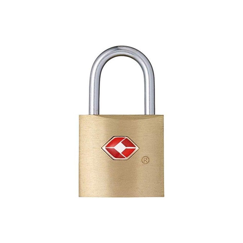 PAVO Premium Aluminium TSA Padlock with 2 Keys 20 mm