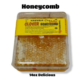 NATURZ BEEZ HONEYCOMB HONEY 14oz / 360g 100% PURE UNFILTERED HONEY