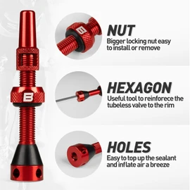 BWSHLF Tubeless Presta Valve Stem 40/44/55/60/65/80/100 mm, Super Light Alloy Presta Valve Stem Kit with Valve Core Remover Tool and Valve Stem Caps - Multiple Color and Size Options(Pair)
