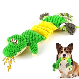 MASBRILL Squeaky Dog Toys, Soft Plush Dog Toy with Crinkle Paper Stuffed, Dog Chew Toys Interactive Dog Teething Toys for Small Medium Breed Dogs Birthday Gift, Puppy Toys to Keep Them Busy, Green