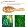 Universidad en linea Cepillo De Bambú Cepillo Madera Natural Biodegradable