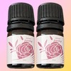2 Delicare Peony Feminine Cleanser 3ml / 2개 델리케어 피오니 여성청결제 3ml