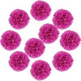 Lightingsky 10pcs DIY Decorative Tissue Paper Pom-poms Flowers Ball Perfect for Party Wedding Home Outdoor Decoration (4-inch Diameter, Purple 1)