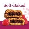 Unbranded Nature's Bakery, Raspberry Fig Bars, 10 Twin Packs, 2