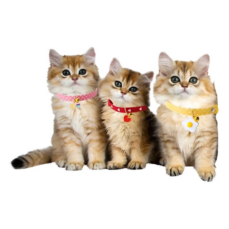 Set 3 Collares P/gato, Cascabel Y Dije Acero Estilo Japones