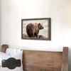 Brown Bear Framed Wall Art - Wildlife Picture Wild Animals