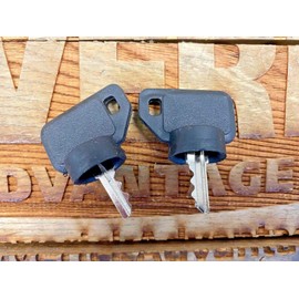 Maverick Advantage Keys fit Ariens Gravely 09287000, 09089700 Ignition Switch Key.Keys not Created or Sold by Ariens Gravely. (5)