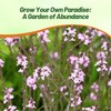 Outsidepride Common Verbena Seeds for Planting - 2000 Pcs. Annual,