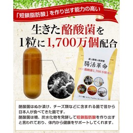 Intestinal Revolution New Habits of Bacteria and Enzymes Supplement Butyric Acid Bacterium Bifidobacterium 31 days supply