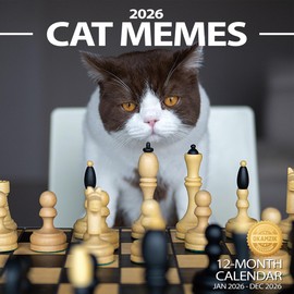 Wall Calendar 2026 Planner Calendar - Cat Memes Hangable Monthly Wall Calendar with Large Blocks for Organizing & Planning, Academic Schedule, Home, Office & family, Thick & Sturdy Paper (12"x24" Open)