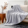 NovaSunrise 3-Pack Fleece Throw Blankets 50x60, 300GSM Soft Flannel Plush