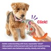 Brightkins Pet Training Tool Click and Reward Clicker Game Controller