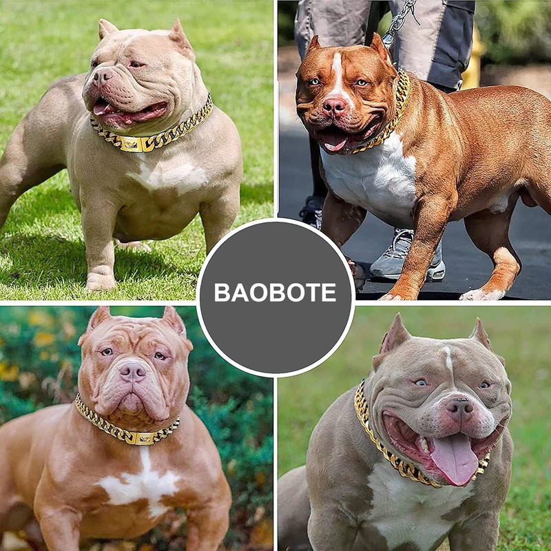 BAOBOTE Gold Dog Chain Collar Walking Metal Chain Collar with