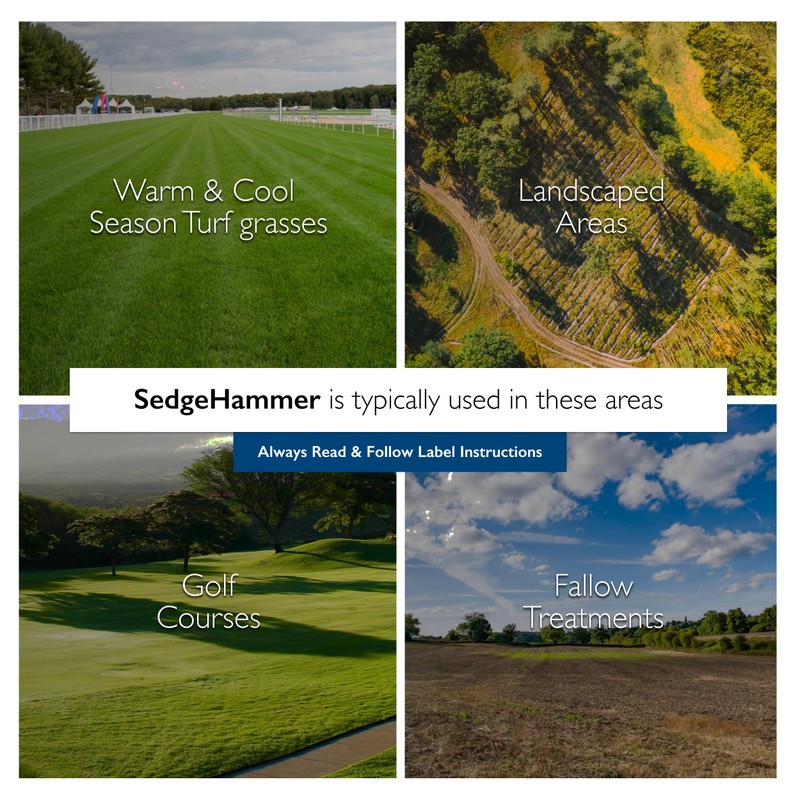 Sedgehammer Herbicide - 1 Pack of 1.33oz Bottle of USA-Made