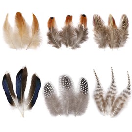 Larryhot Natural Pheasant Craft Feathers - 240 pcs 6 Style Mixed Feathers for Dream Catcher Supplies,Jewelry,Hats and Jewelry Accessories (Natural)