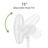 HOLMES 12" Table Fan, 75° Oscillation, 3 Speeds, 15° Adjustable