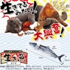 CattyMan Kerikeri Toy Live Fish Skipjack