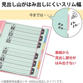 Kokuyo Shiki-260 File Index Divider Cards, Color, 6 Slots, Gabat/Back Width Extendable File for Indexing, 2 Holes