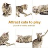 Natural Silvervine Dental Sticks, Silvervine Sticks for Cats, Cat Silver