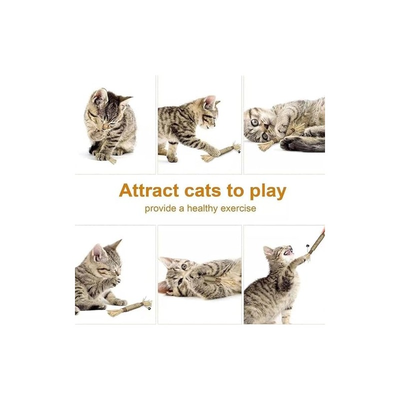 Natural Silvervine Dental Sticks, Silvervine Sticks for Cats, Cat Silver