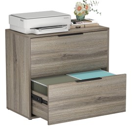 LUCYPAL Wood Lateral File Cabinet 2 Drawer,Lateral File Cabinets with Metal Handles for Letter Size,Large Storage Cabinet for Printer Stand,Grey 27.56" W x 14.57" D x 24.02" H