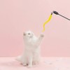 popluxy Cat Caterpillar Feather Toy, Cat Toy, Natural Bird Wing