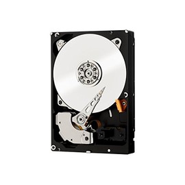 WD 250 GB WD RE SATA III 7200 RPM 64 MB Cache Bulk/OEM Enterprise Hard Drive WD2503ABYZ