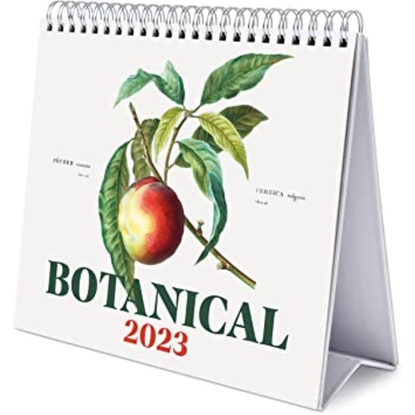 Official Botanical Calendar 2023 - Desktop Calendar 2023 - 7 x 8 inches / 18 x 20 cm - Vintage Desk Calendar 2023 - 12 Month 2023 Planner - Cute Stationery