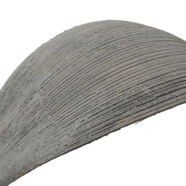 Vickerman 652886 - Grey Wash Wide Mini Palm Paddles 15Pk Dried and Preserved Palms