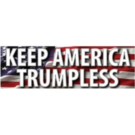 Kramer sticker's shop Keep America TRUMPLESS Anti Trump 2024 Sticker for Car Vinyl Decal Truck Window Bumper Sticker 10 х 3 in.