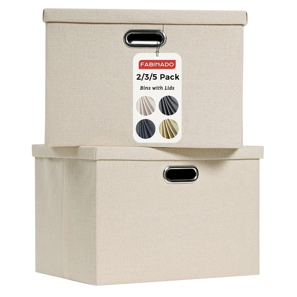 FABINADO 7.7 oz/yd² Fabric Storage Bins with Lids - Foldable