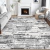 Jessibou Area Rugs for Living Room: 6x9 Abstract Washable Rug
