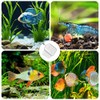 2-Pack White 3-Inch Aquarium Net – Small Fish Tank Tool