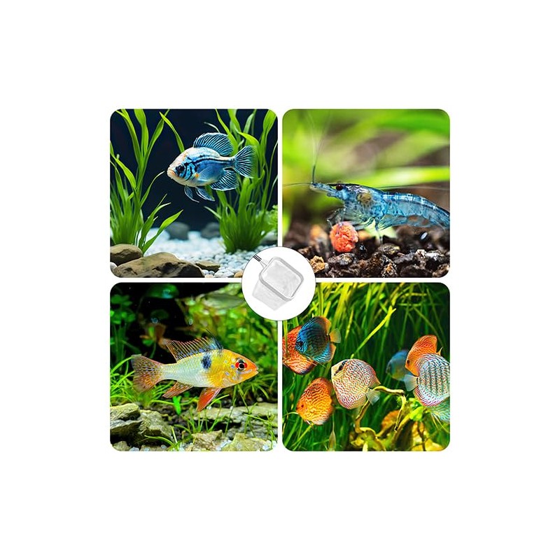 2-Pack White 3-Inch Aquarium Net – Small Fish Tank Tool
