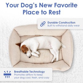 AMERICAN KENNEL CLUB Cuddler Pet Bed with Low-Profile Entrance – 25" Plush Dog Bed for Small Breeds, Ultra-Soft Washable Bed with Non-Slip Bottom, Durable High-Loft Filling, Beige