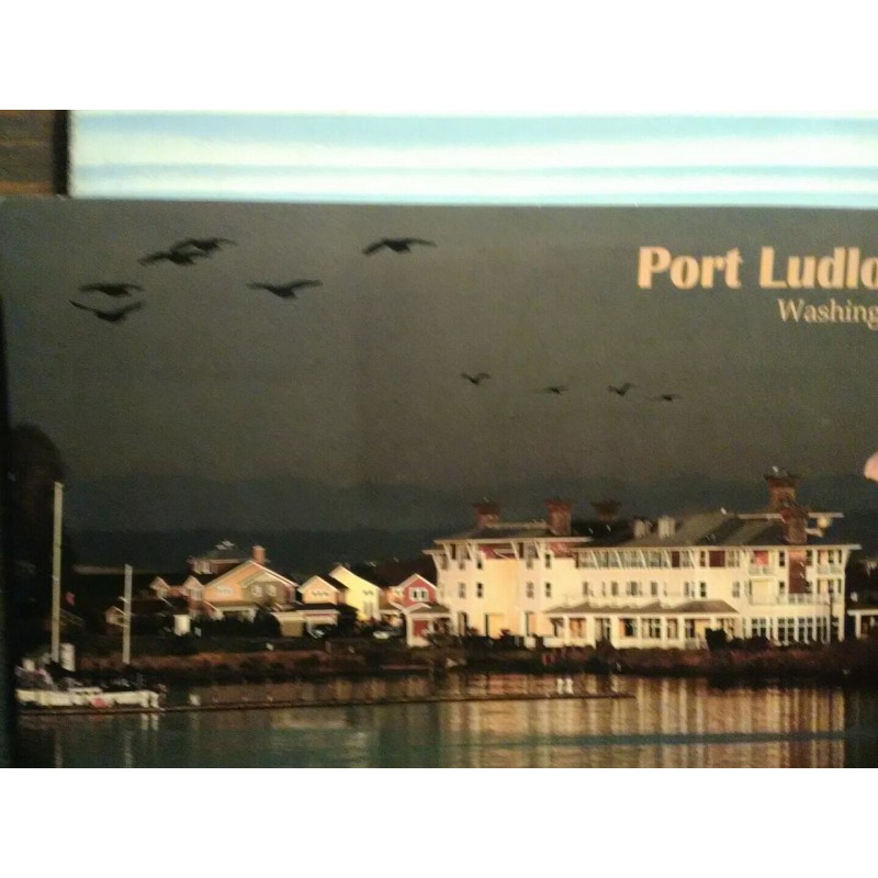 THE PACIFIC NORTHWEST BEAUTIFUL POST CARD MOONLIGHT OVER PORT LUDLOW
