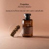 Apivita Shampoo anticaspa para cuero cabelludo graso 250ml
