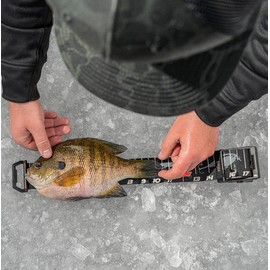 Rapala RRRUL60 - Regla retráctil de 60 Pulgadas, Talla única, Multicolor