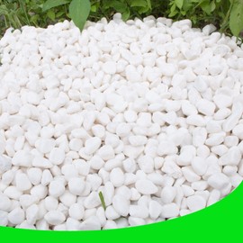 White Pebbles for Plants Garden Vases 7 lb White Rocks Gravel Decorative Stone 1/2"
