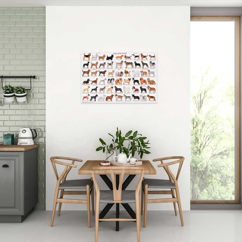 (24x36) Laminated Dogs of the World Educational Animal Chart Poster