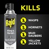 Raid Wasp & Hornet Killer Spray, Bug Killer Kills the