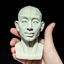 Generic Head Model for Artists, 2in1 Original & Planar Face, for Learning Planes and Light Details, Small Mannequin Manikin Head for Art Drawing Skecthing Study (Large(13.5cm))