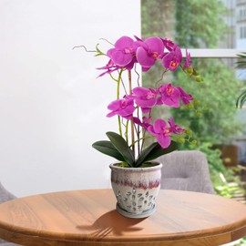 Orchid Pots with Holes Round Ceramic Flower Container Succulent Plant Planter Butterfly Pot Saucer Windowsill Contemporary Home Decoration (Purple Over Cream)