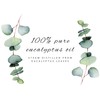 GreenHealth Eucalyptus Essential Oil - 100% Pure Therapeutic Grade Essential