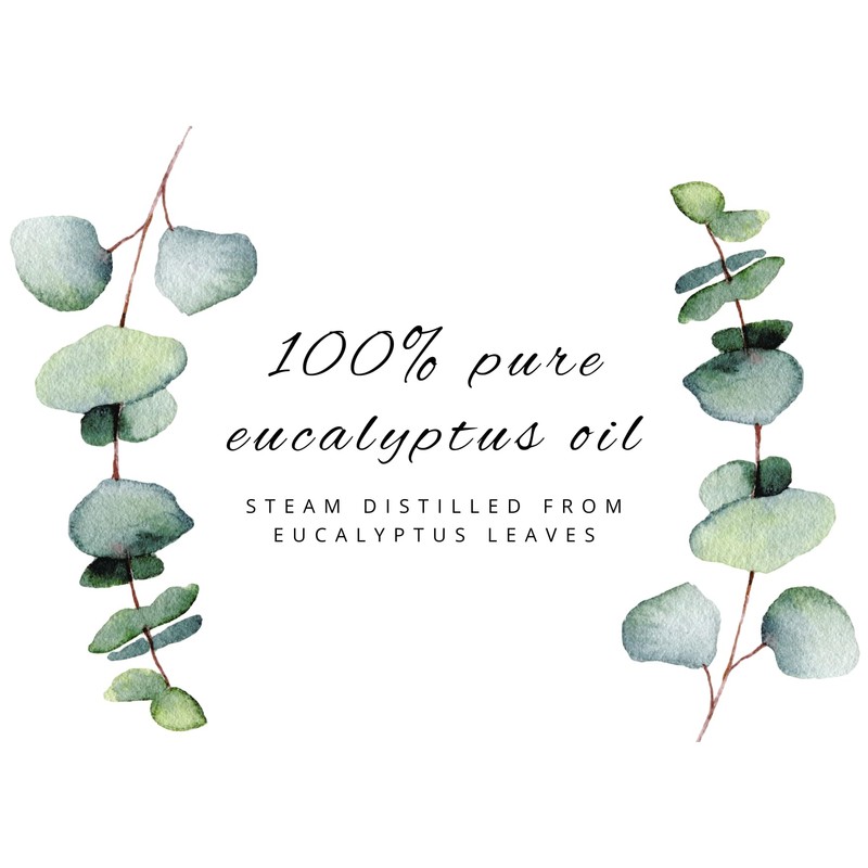 GreenHealth Eucalyptus Essential Oil - 100% Pure Therapeutic Grade Essential