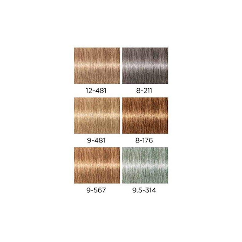 SK Igora #RTO 8-176 Light Bl. Cendré Ku. Scho. 60